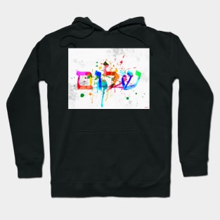 Shalom Hello Goodbye Hoodie